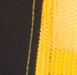 Black/Gold